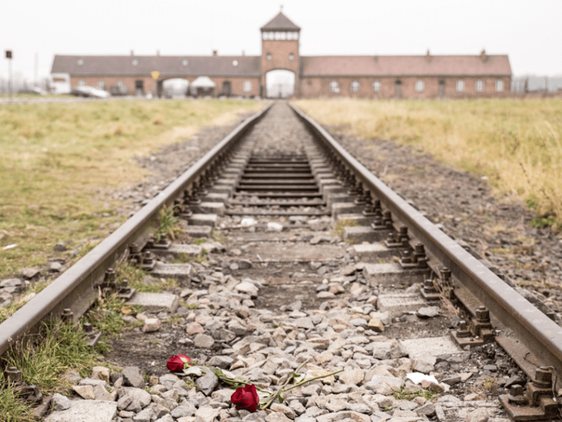 27. Jänner 2026: Tag des Gedenkens an die Opfer des Nationalsozialismus